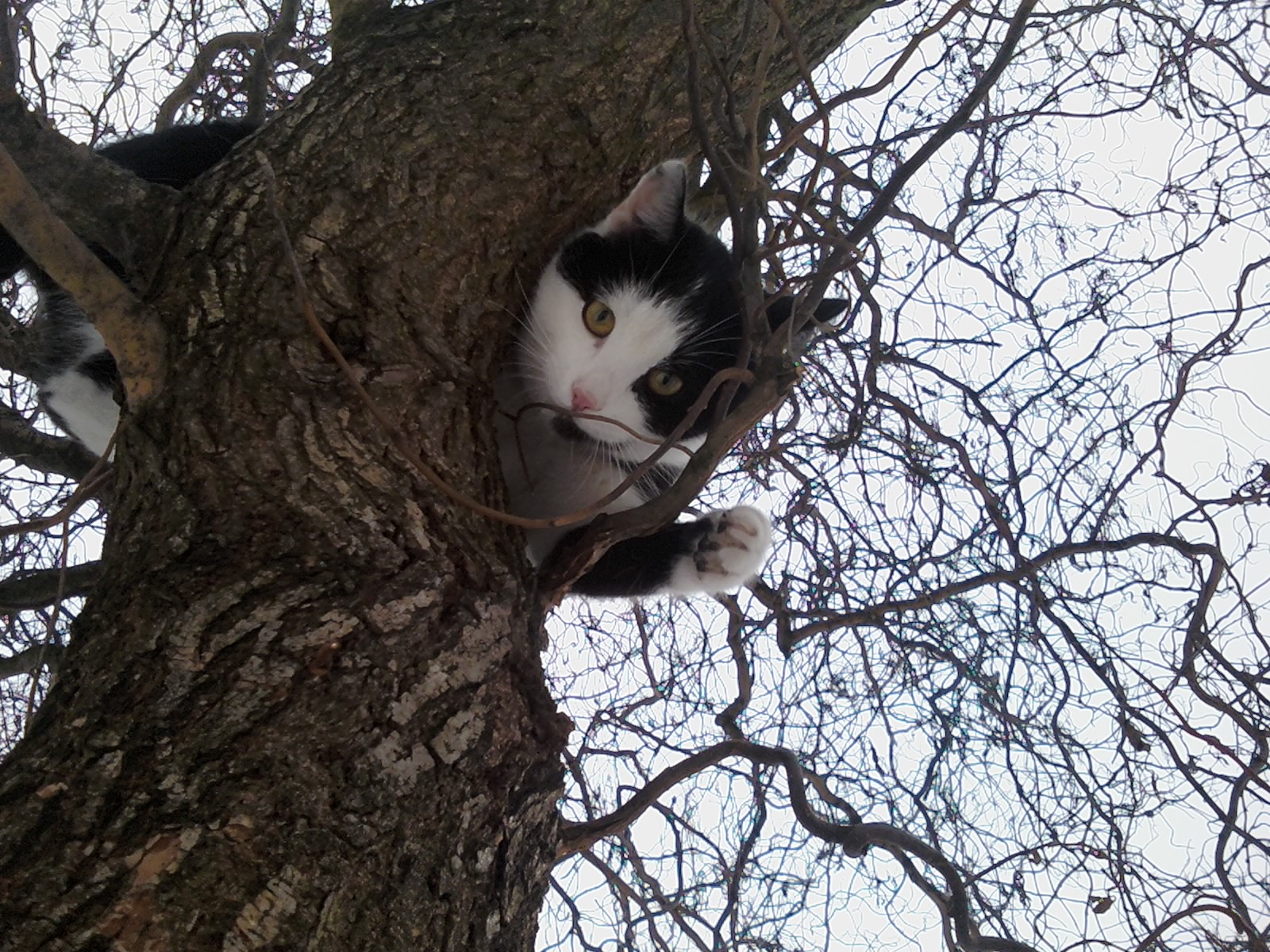 ♥Modelka♥